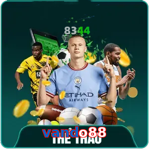 the-thao-vando88