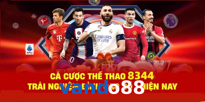 Đá Gà Philippines – Tinh Hoa Truyền Thống Và Thể Thao 